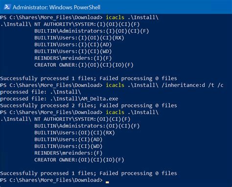 Using Icacls to Manage File Permissions .